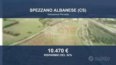 Immobile in asta di 44660 m² a Spezzano Albanese