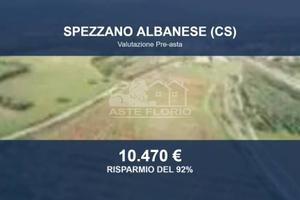 Immobile in asta di 44660 m² a Spezzano Albanese