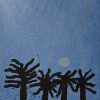 Sentinelle della notte