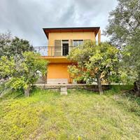 Villa singola con ampio uliveto