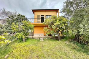 Villa singola con ampio uliveto