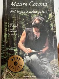Mauro Corona nel legno e nelle pietra