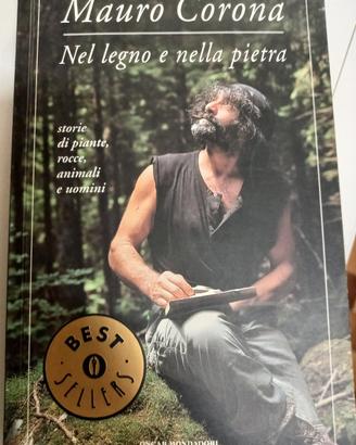 Mauro Corona nel legno e nelle pietra