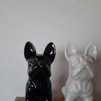 bulldog Francese 