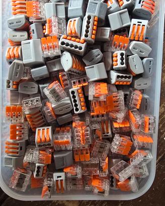 Morsetti elettrici Innesto Rapido 