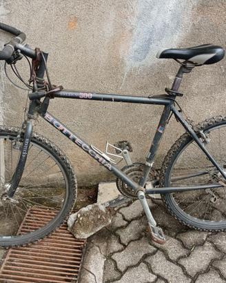 Mountain bike da uomo