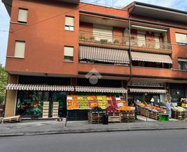 NEGOZIO A VERONA
