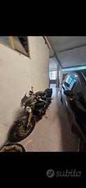 Triumph Speed Triple 1050