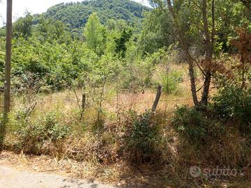 Terreno Cassano Irpino