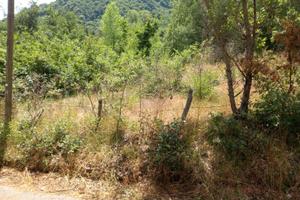 Terreno Cassano Irpino