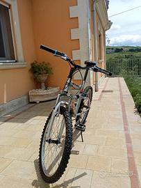Bicicletta Mountain bike