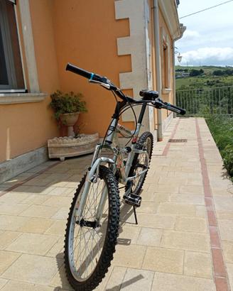 Bicicletta Mountain bike