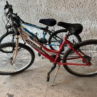 Mountain bike donna 26”