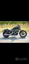 Harley Davidson 883
