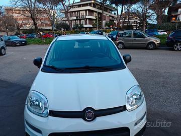 Fiat Panda 1.2 Easy s&s 69cv my19
