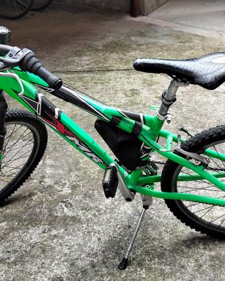bicicletta 