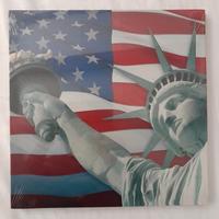 Stampa vintage su tela con cornice in legno. 