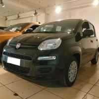FIAT Pandina Pandina 1.0 FireFly 65 CV Hybrid Pop