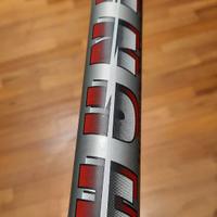 canna da pesca fissa