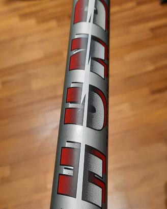 canna da pesca fissa