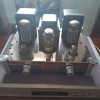 Amplificatore Reisong