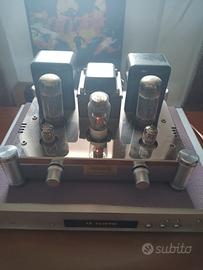 Amplificatore Reisong