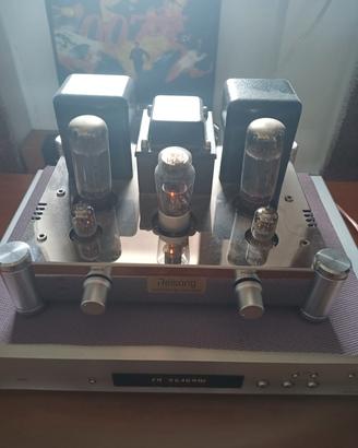 Amplificatore Reisong