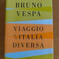 Viaggio in un'Italia diversa. Libro di Bruno Vespa