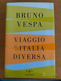 Viaggio in un'Italia diversa. Libro di Bruno Vespa