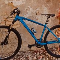 MTB Carraro 27,5" freni disco idraulici