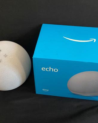 Alexa echo
