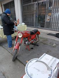 Benelli Leoncino 125 - 1955