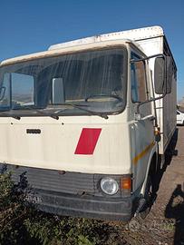 TRASPORTO ANIMALI OM 40