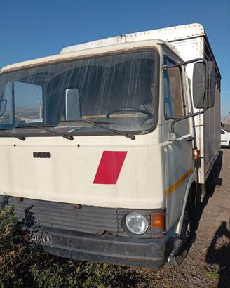 TRASPORTO ANIMALI OM 40