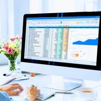 Data Entry/ Segretaria/ Anche Remoto