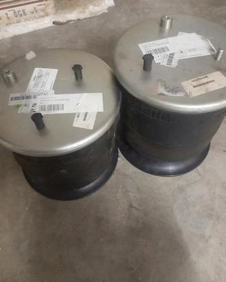 • Coppia Perne ad Aria Posteriori IVECO Daily - Vi