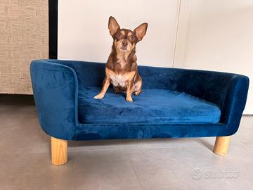 Cuccia poltrona blu camoscio