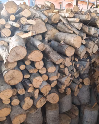LEGNA DA ARDERE già tagliata – varietà miste