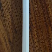 Apple Pencil (2 pezzi disponibili)