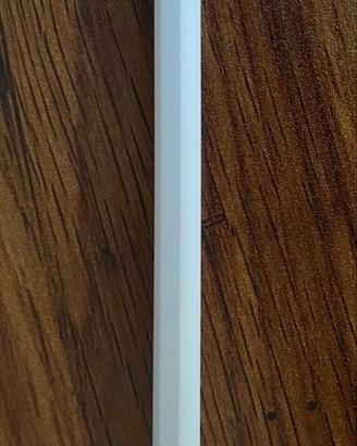Apple Pencil (2 pezzi disponibili)
