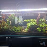 Acquario di fiume