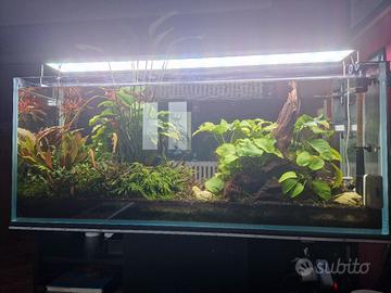 Acquario di fiume