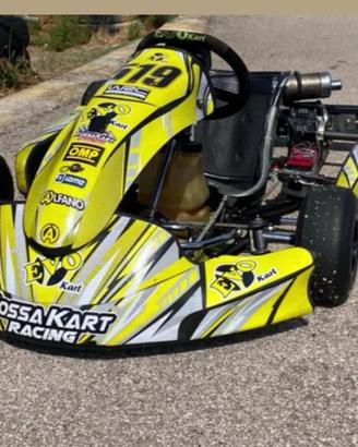 Kart 60