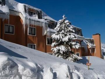 Campitello Matese MONOLOCALE Accesso diretto piste