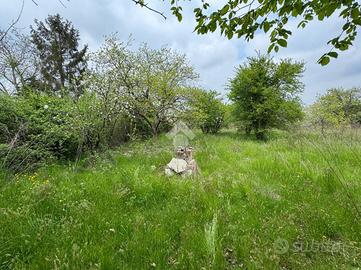 TER. RESIDENZIALE A RIVALTA DI TORINO