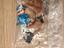 Immagine 2