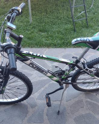 Mountain Bike modello Vertical VRT