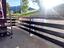 Immagine 10