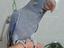 Immagine 5