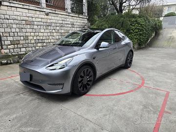 Tesla Model Y performance 